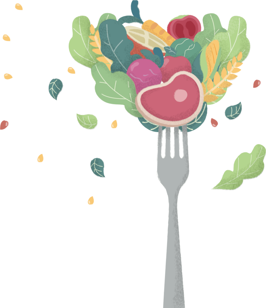 dieta online sana y equilibrada